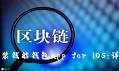 如何下载和安装钱能钱包