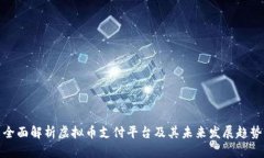 全面解析虚拟币支付平台