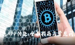 数字钱包APP付款：全面指
