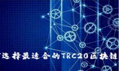 如何选择最适合的TRC20区块