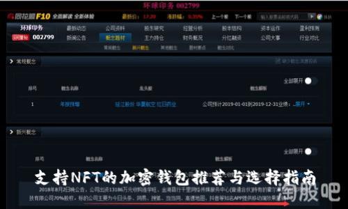 支持NFT的加密钱包推荐与选择指南