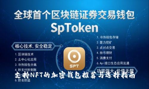 支持NFT的加密钱包推荐与选择指南