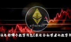 新手应该选择哪个数字钱