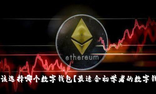 新手应该选择哪个数字钱包？最适合初学者的数字钱包推荐