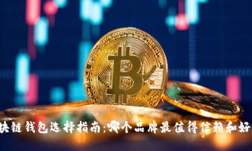 区块链钱包选择指南：哪个品牌最值得信赖和好用?