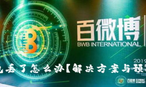 虚拟币钱包丢了怎么办？解决方案与预防措施指南