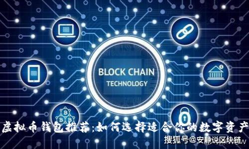 全球最大虚拟币钱包推荐：如何选择适合你的数字资产管理工具