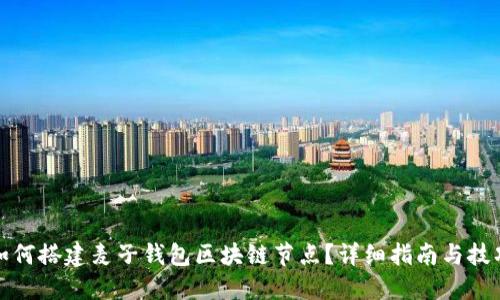 如何搭建麦子钱包区块链节点?详细指南与技巧