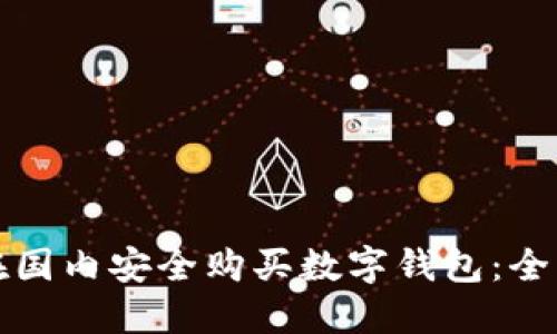 如何在国内安全购买数字钱包：全面指南
