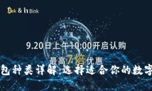区块链游戏钱包种类详解：选择适合你的数字资产管理工具