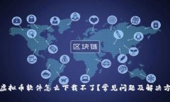 : 虚拟币软件怎么下载不了