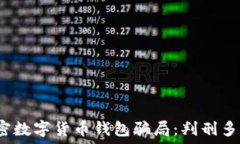   揭密数字货币钱包骗局：