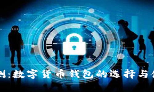 全面评测：数字货币钱包的选择与使用指南