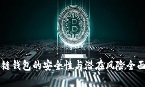 区块链钱包的安全性与潜在风险全面解析