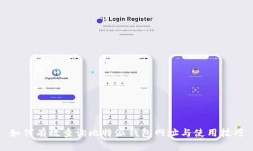 如何有效查询比特派钱包网址与使用技巧