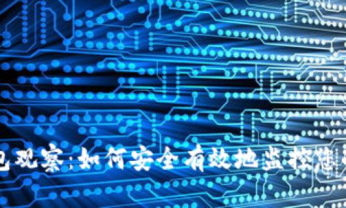 区块链钱包观察：如何安全有效地监控您的数字资产