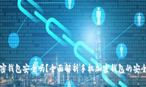 手机端加密钱包安全吗？全面解析手机加密钱包的安全性和风险