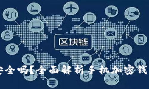 手机端加密钱包安全吗？全面解析手机加密钱包的安全性和风险