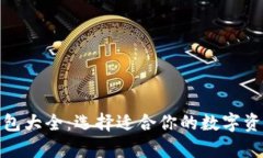 数字货币钱包大全：选择