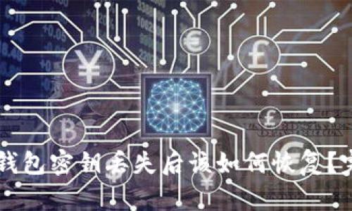 区块链钱包密钥丢失后该如何恢复？完整指南