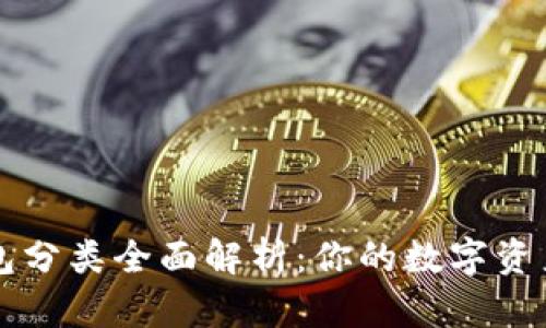 区块链钱包分类全面解析：你的数字资产保护指南