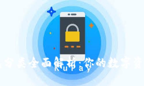 区块链钱包分类全面解析：你的数字资产保护指南