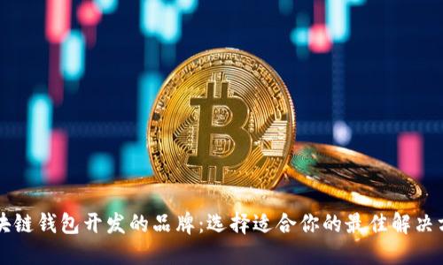 区块链钱包开发的品牌：选择适合你的最佳解决方案