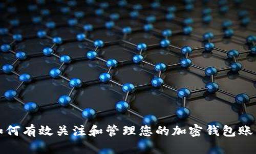 如何有效关注和管理您的加密钱包账号
