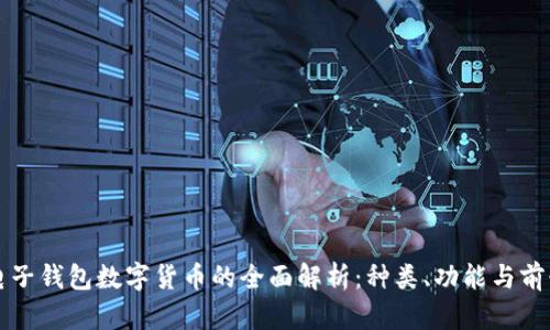 电子钱包数字货币的全面解析：种类、功能与前景