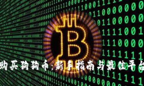如何购买狗狗币：新手指南与最佳平台推荐