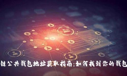 区块链公共钱包地址获取指南：如何找到你的钱包地址