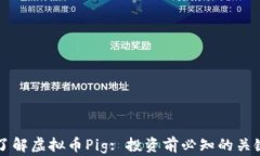 深入了解虚拟币Pig: 投资前