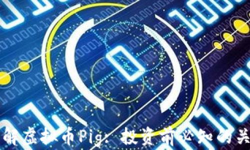 
深入了解虚拟币Pig: 投资前必知的关键要素