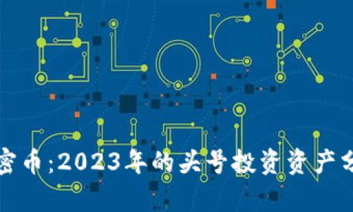 加密币：2023年的头号投资资产分析