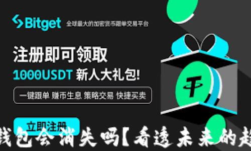 
加密货币钱包会消失吗？看透未来的趋势与风险