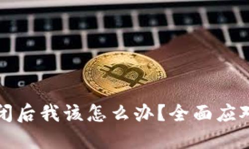 加密钱包倒闭后我该怎么办？全面应对措施与指南