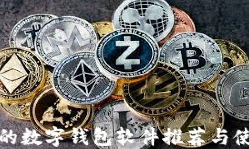 
最安全的数字钱包软件推荐与使用指南