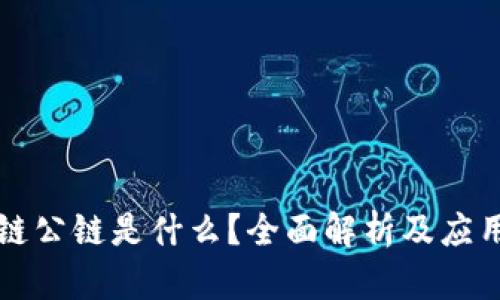 区块链公链是什么？全面解析及应用前景