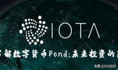 深入了解数字货币Pond：未