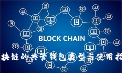 区块链的共管钱包类型与使用指南