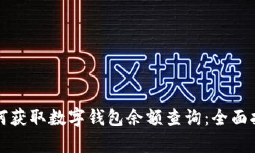 如何获取数字钱包余额查询：全面指南