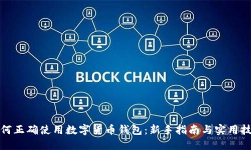 如何正确使用数字货币钱包：新手指南与实用技巧
