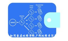 如何查看比特币账户的比