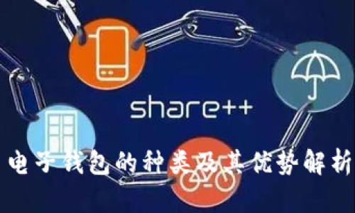 电子钱包的种类及其优势解析