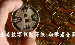 如何查看数字钱包等级：