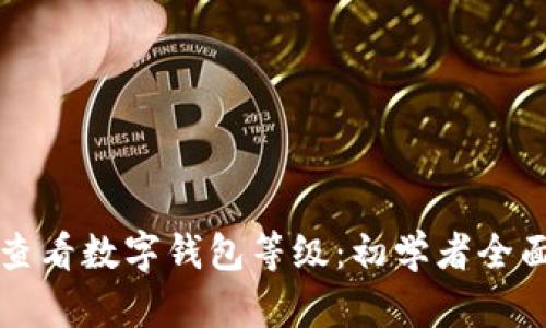 如何查看数字钱包等级：初学者全面指南