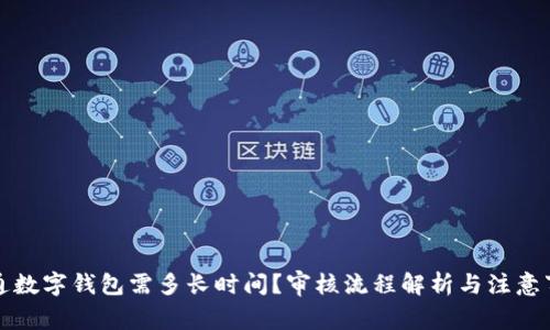 开通数字钱包需多长时间？审核流程解析与注意事项