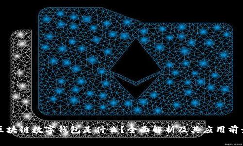 区块链数字钱包是什么？全面解析及其应用前景