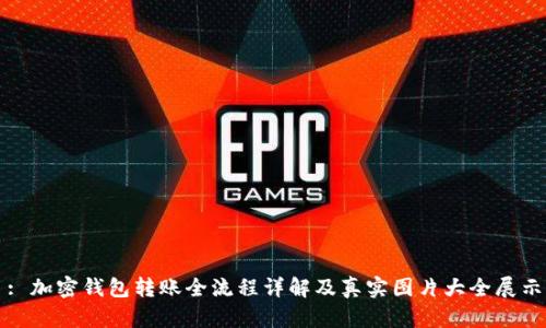 : 加密钱包转账全流程详解及真实图片大全展示