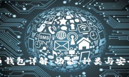 数字货币钱包详解：功能、种类与安全性分析
